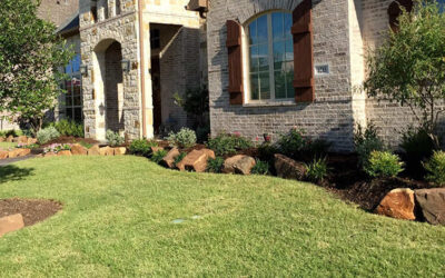 Go From Traditional To Modern With Landscaping Services in Texas