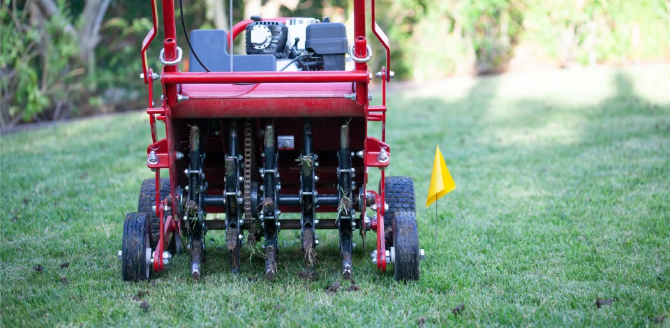 McKinney Lawn Aeration & Overseeding Tips for Fall aeration tips for mckinney tx properties