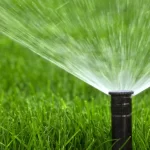 7 Signs Your McKinney, TX, Sprinkler System Needs Repair broken sprinkler head mckinney lawn