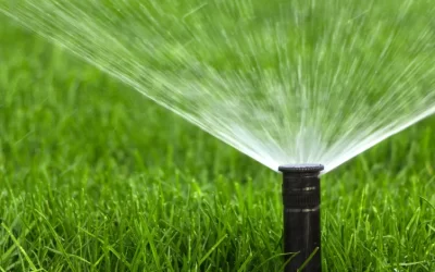 7 Signs Your McKinney, TX, Sprinkler System Needs Repair