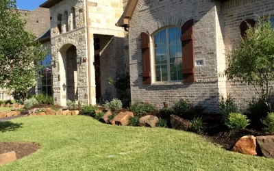 How Do You Do Fall Lawn Preparation To Build A Stronger Turf?
