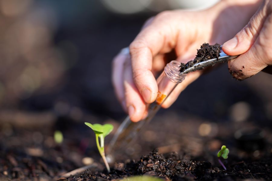fertilization service in McKinney, TX
