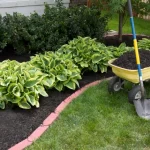 Landscape Design in McKinney, TX: 2026 Ideas, Costs, and How to Plan Your Dream Yard landscape design mckinney tx ideas costs planning