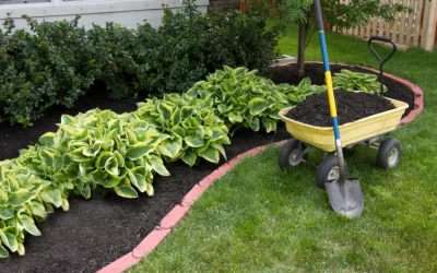 Landscape Design in McKinney, TX: 2026 Ideas, Costs, and How to Plan Your Dream Yard