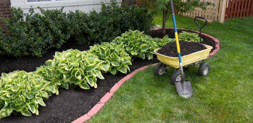 landscape design mckinney tx ideas costs planning
