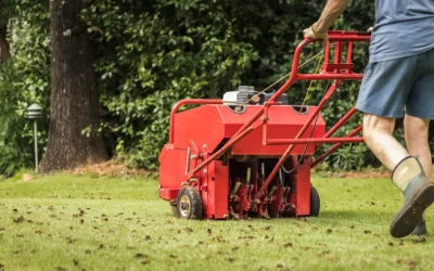 Lawn Aeration: Why, When, and How It Transforms Your Turf