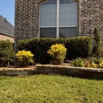 Lawn Care in McKinney, TX: A Month-by-Month Guide to a Perfect North Texas Yard lawn care in mckinney tx