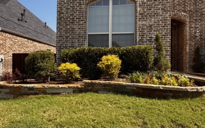 Lawn Care in McKinney, TX: A Month-by-Month Guide to a Perfect North Texas Yard