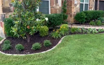 Mulch Installation in McKinney, TX: How Much You Need, Which Type to Choose, and Costs