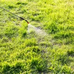 Weed Control in McKinney, TX: How to Win the Battle Against North Texas Weeds for Good weed control in mckinney and north texas