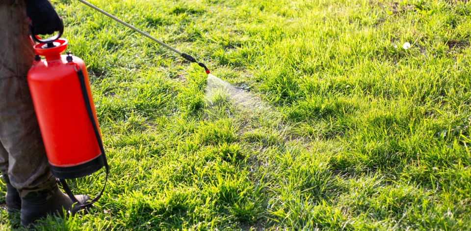 weed control in mckinney and north texas